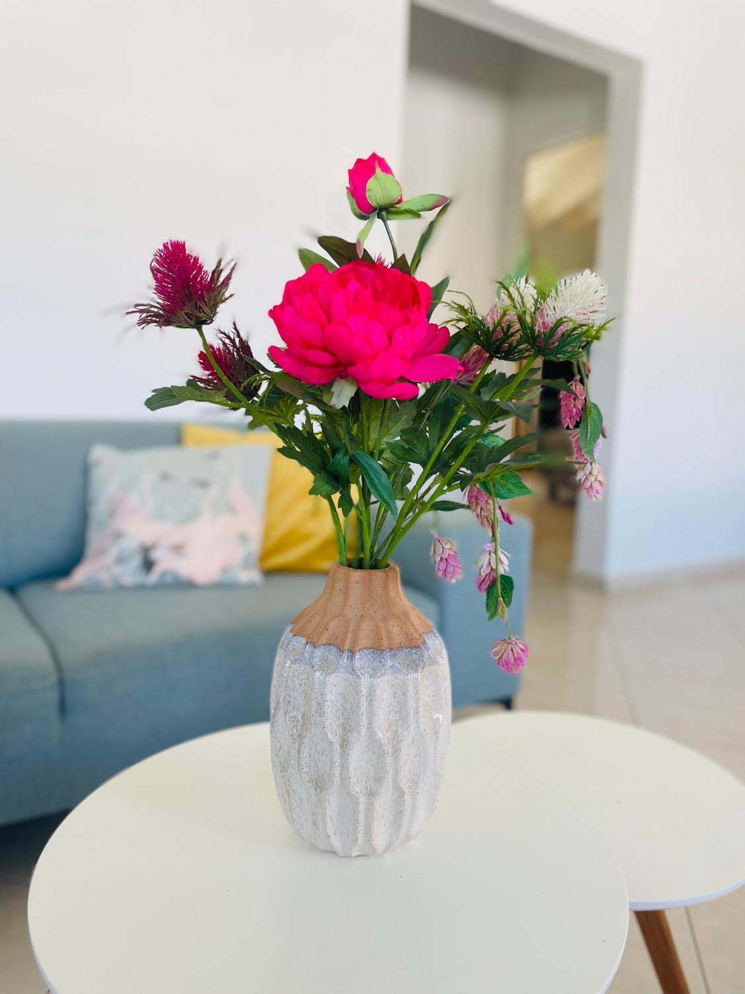 Mini Resort Kaya Verdi 빌렘스타트 외부 사진